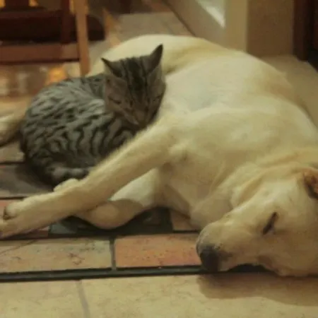 La Valle Delle Rose Massafra