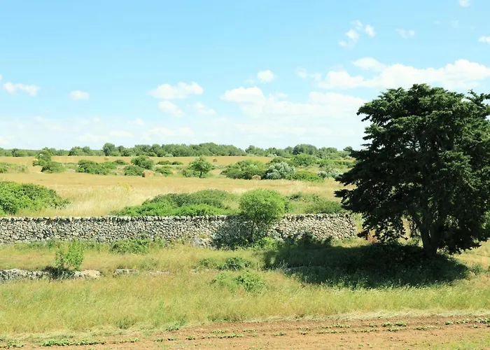 La Valle Delle Rose * 마사프라